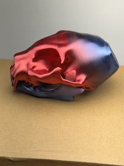 https://makerworld.bblmw.com/makerworld/model/583317/504427/ratings/e56d8e70-0b10-11f0-a1fc-0f6077de0caf.jpg