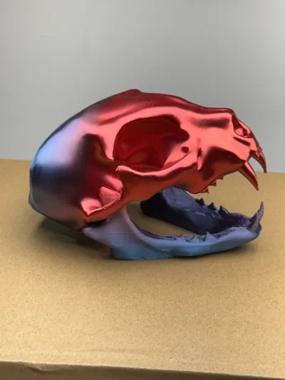 https://makerworld.bblmw.com/makerworld/model/583317/504427/ratings/e56d8e71-0b10-11f0-a1fc-0f6077de0caf.jpg