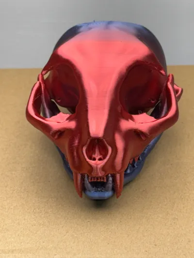 https://makerworld.bblmw.com/makerworld/model/583317/504427/ratings/e56e51c0-0b10-11f0-a1fc-0f6077de0caf.jpg