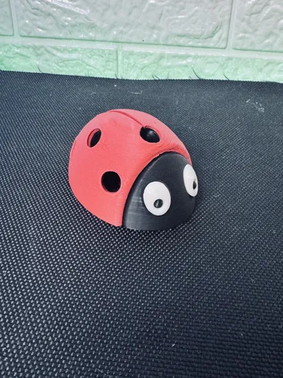 https://makerworld.bblmw.com/makerworld/model/583524/504655/ratings/30862ed0-13f9-11f0-bb63-ddae931f2ee6.jpg