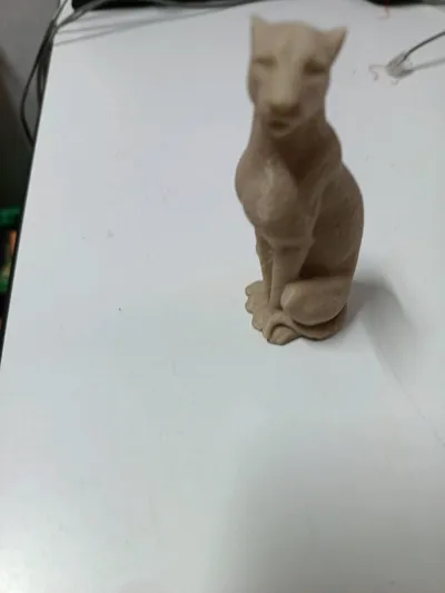https://makerworld.bblmw.com/makerworld/model/583723/504866/ratings/ac613530-13dc-11f0-b204-e9c981a78ea8.jpg