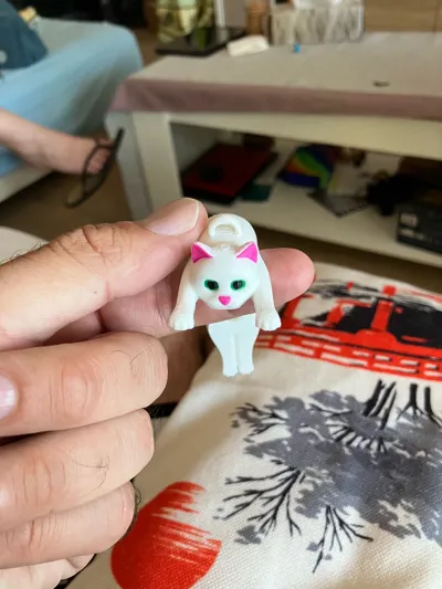 https://makerworld.bblmw.com/makerworld/model/584640/1136364/ratings/d61014f0-60e9-11f0-9e25-cf2dd4c89c94.jpg