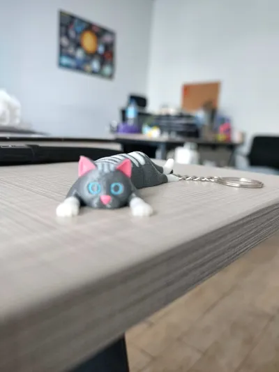 https://makerworld.bblmw.com/makerworld/model/584640/1274283/ratings/ea4cc030-9384-11f0-bc2b-4df8256fceae.jpg