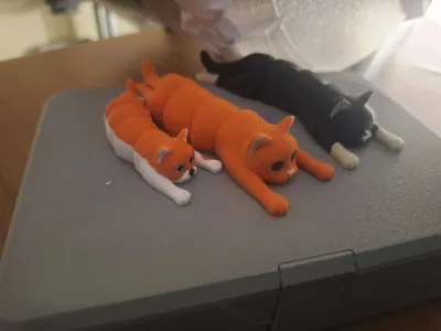https://makerworld.bblmw.com/makerworld/model/584640/1289824/ratings/1fcd9c60-b956-11f0-bb9b-c777ee6ea5db.jpg