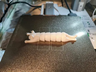 https://makerworld.bblmw.com/makerworld/model/584640/1321190/ratings/d50b4a70-bef4-11f0-b7da-5d5176d5e07f.jpg
