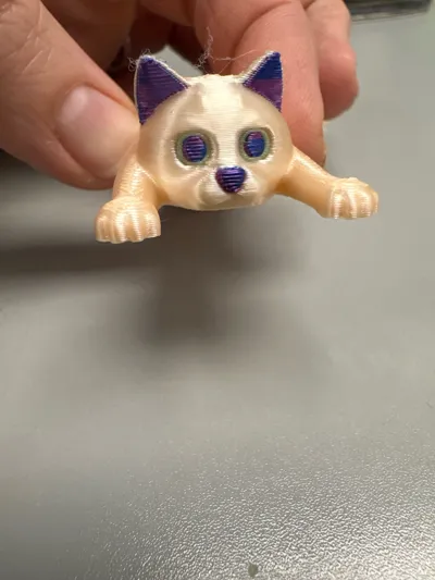 https://makerworld.bblmw.com/makerworld/model/584640/505737/ratings/1888a840-253c-11f0-9b40-39d5191b270a.jpg