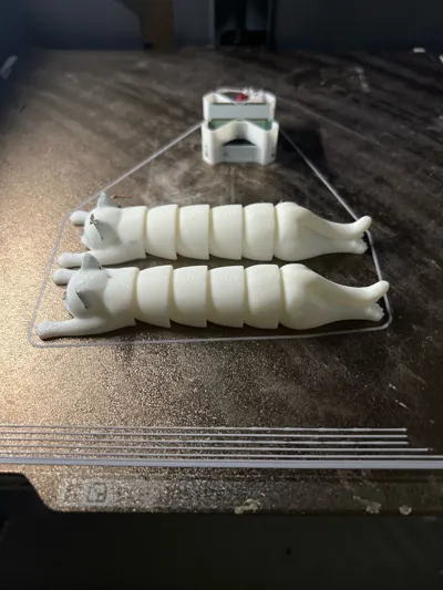 https://makerworld.bblmw.com/makerworld/model/584640/505737/ratings/6a835d50-0cc5-11f0-afe1-5b09ced3e529.jpg