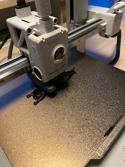 https://makerworld.bblmw.com/makerworld/model/584640/506601/ratings/016807a0-e65c-11f0-8a63-a39c49bc5aa9.jpg