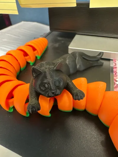 https://makerworld.bblmw.com/makerworld/model/584640/506601/ratings/4c63b630-4a69-11f0-b2a2-65d661fb8051.jpg