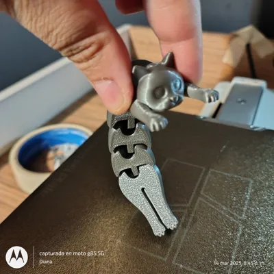 https://makerworld.bblmw.com/makerworld/model/584640/506601/ratings/b8e20930-012e-11f0-a784-dd18a8c4216c.jpg