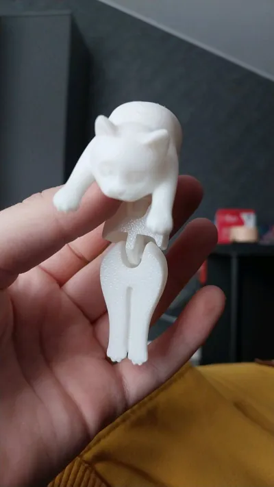 https://makerworld.bblmw.com/makerworld/model/584640/506601/ratings/d3c53960-e4a5-11f0-91ec-f5de72e5105f.jpg