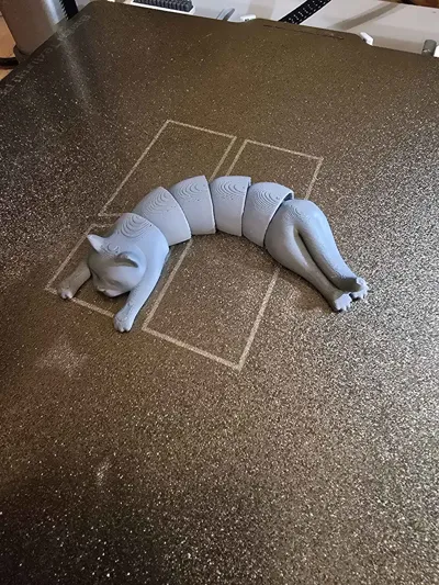 https://makerworld.bblmw.com/makerworld/model/584640/506601/ratings/f6c618b0-7a08-11f0-bb88-e7c599e4ce63.jpg