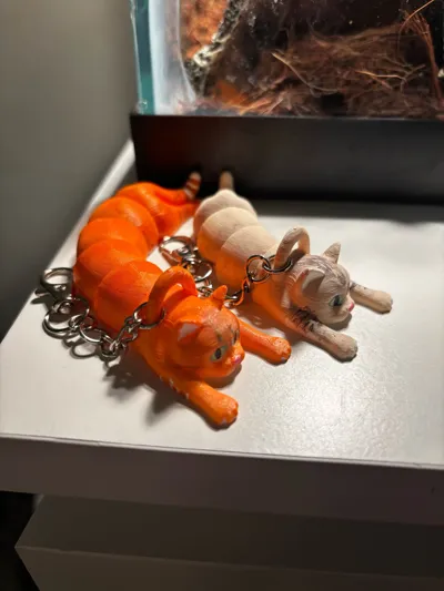 https://makerworld.bblmw.com/makerworld/model/584640/518659/ratings/a6789730-a211-11f0-b80c-b349b2e4011e.jpg