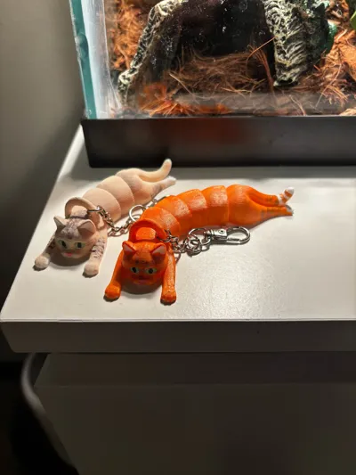 https://makerworld.bblmw.com/makerworld/model/584640/518659/ratings/a67c19a0-a211-11f0-b80c-b349b2e4011e.jpg
