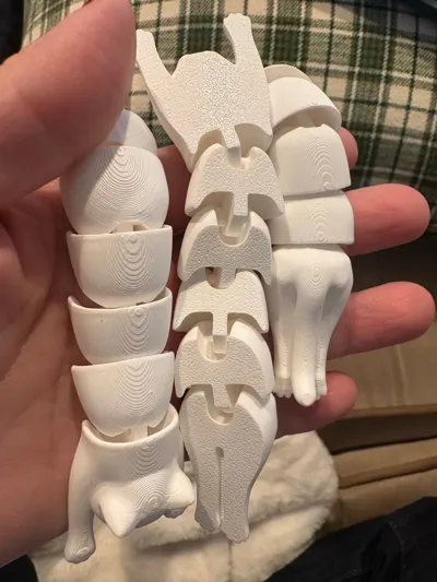 https://makerworld.bblmw.com/makerworld/model/584640/707132/ratings/5bd681a0-f316-11f0-8c42-9dcd35798ef0.jpg