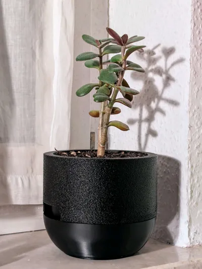 https://makerworld.bblmw.com/makerworld/model/585016/506504/ratings/ef5c4580-1a46-11f0-83b9-31f41f270106.jpg