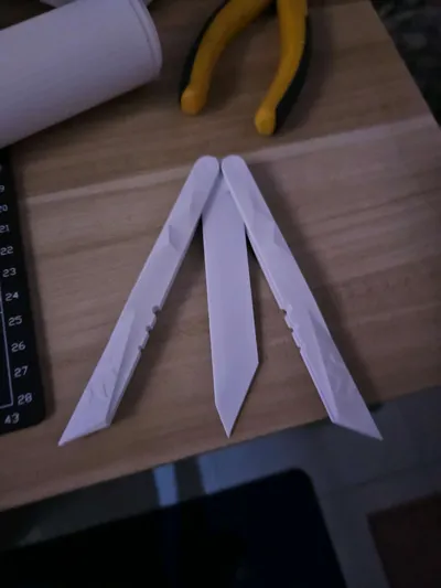 https://makerworld.bblmw.com/makerworld/model/586444/507652/ratings/a784b3a0-6492-11f0-917c-5bba9ba76d42.jpg