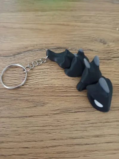 https://makerworld.bblmw.com/makerworld/model/587584/1005981/ratings/bf311d80-1394-11f0-8f1a-b92a2a19c102.jpg