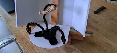 https://makerworld.bblmw.com/makerworld/model/588389/509610/ratings/41b7f580-e34c-11f0-8f57-4356711de05a.jpg