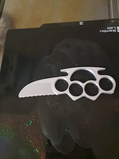 https://makerworld.bblmw.com/makerworld/model/590035/511517/ratings/2c6334a0-4cc6-11f0-9be6-b1b1e1912344.jpg