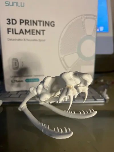 https://makerworld.bblmw.com/makerworld/model/590692/1099142/ratings/63c6dc40-e6a3-11f0-af55-d34b930112c7.jpg