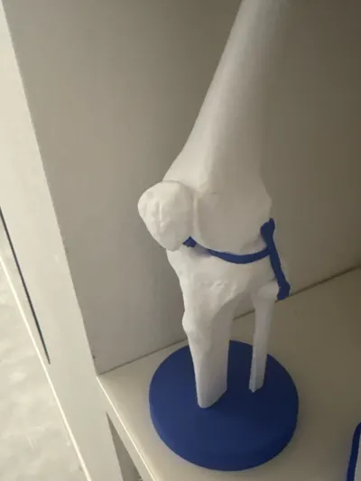 https://makerworld.bblmw.com/makerworld/model/590910/887702/ratings/562ce8c0-ab81-11f0-b751-7ff4a9857de9.jpg