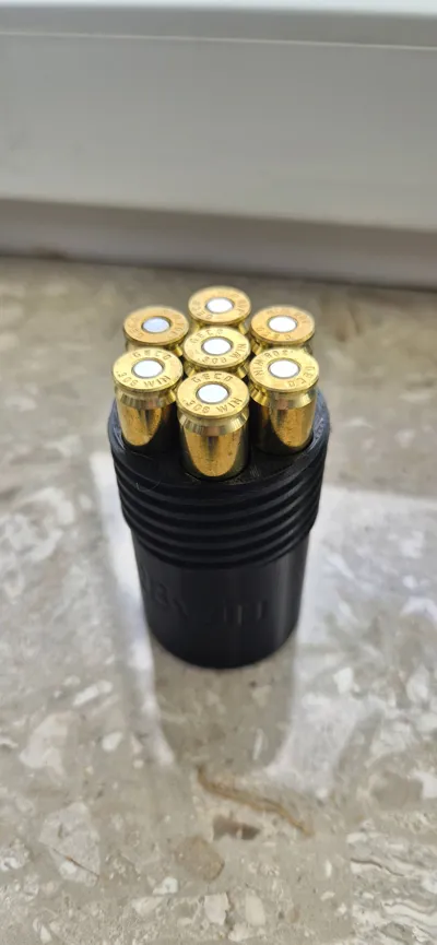https://makerworld.bblmw.com/makerworld/model/591874/513589/ratings/499faed0-abfe-11f0-a6fb-45384dca66d3.jpg