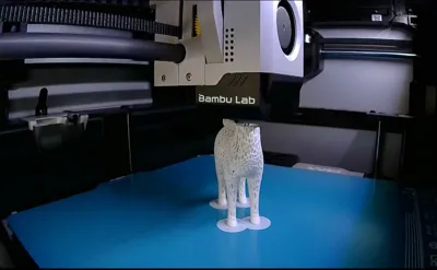 https://makerworld.bblmw.com/makerworld/model/592485/566500/ratings/f45ba430-99cc-11f0-a078-0d5595497d09.jpg