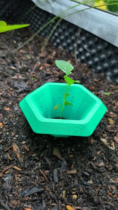 https://makerworld.bblmw.com/makerworld/model/594573/516429/ratings/2f565da0-704c-11f0-8e50-c3c6a999471a.jpg