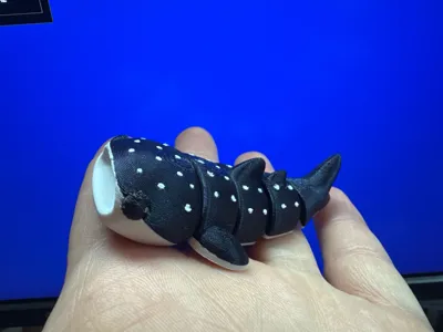 https://makerworld.bblmw.com/makerworld/model/595107/1593283/ratings/f79a9cd0-5ed7-11f0-81a4-0d1dab3ea8fa.jpg