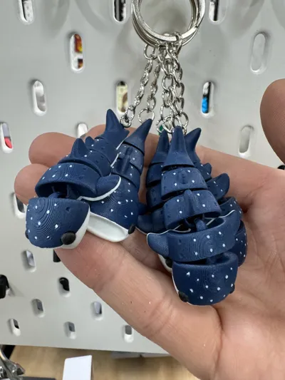 https://makerworld.bblmw.com/makerworld/model/595107/517031/ratings/57a9c360-0c91-11f0-84b8-c7edbbfee6c1.jpg