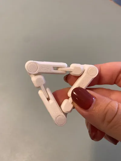 https://makerworld.bblmw.com/makerworld/model/59571/411702/ratings/b1e00d20-8d0c-11f0-8ee1-65eb87005aa5.jpg