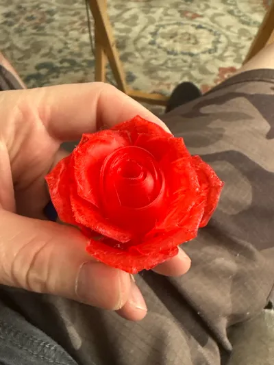 https://makerworld.bblmw.com/makerworld/model/595942/517893/ratings/625084a0-c651-11f0-adf1-7f96adc17db8.jpg