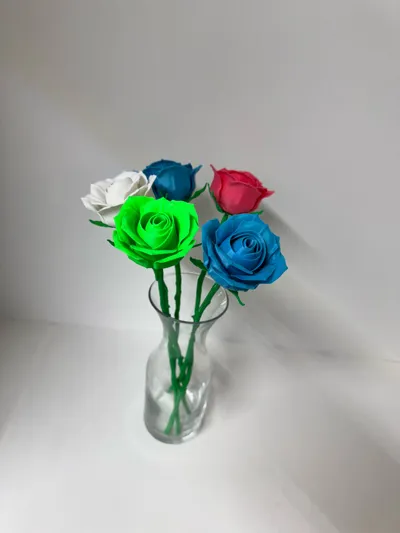 https://makerworld.bblmw.com/makerworld/model/595942/517893/ratings/7398faf0-2ded-11f0-8465-a52726494e63.jpg