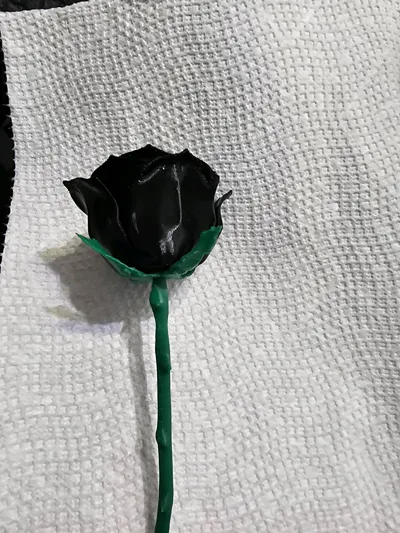 https://makerworld.bblmw.com/makerworld/model/595942/517908/ratings/6a0dd9d0-203a-11f0-a75c-fdf3cc697661.jpg