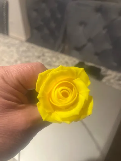 https://makerworld.bblmw.com/makerworld/model/595942/517908/ratings/b66022e0-e5f4-11f0-a83f-a78b1016c5ec.jpg