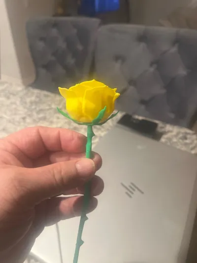 https://makerworld.bblmw.com/makerworld/model/595942/517908/ratings/b6610d40-e5f4-11f0-a83f-a78b1016c5ec.jpg