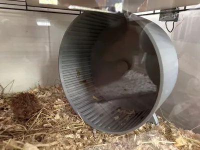https://makerworld.bblmw.com/makerworld/model/597713/520195/ratings/2025-07-10_d95fd0fa3a1e58.jpg
