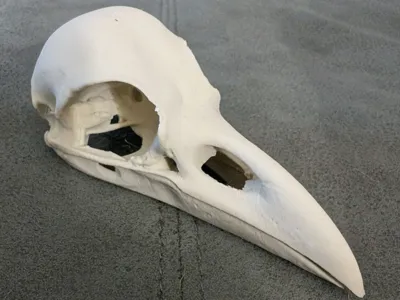 https://makerworld.bblmw.com/makerworld/model/598614/795938/ratings/3d8dab30-e559-11f0-b5b2-317eba4a7afc.jpg