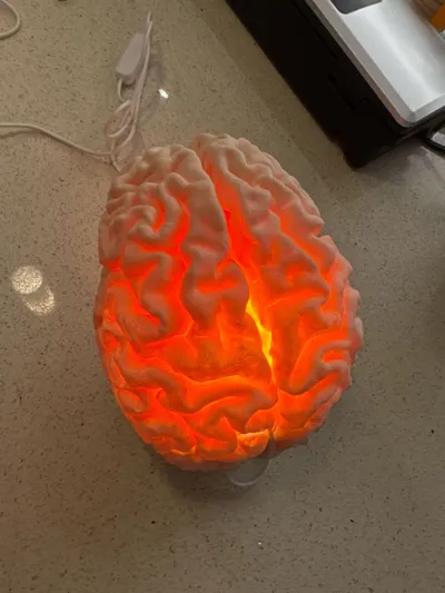 https://makerworld.bblmw.com/makerworld/model/600245/1166799/ratings/b3c176d0-2a31-11f0-901d-21d051502855.jpg