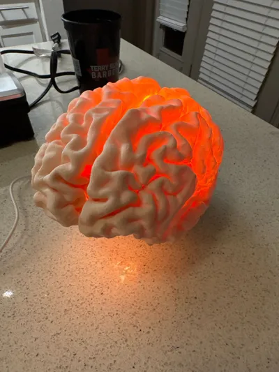 https://makerworld.bblmw.com/makerworld/model/600245/1166799/ratings/b3c2d660-2a31-11f0-901d-21d051502855.jpg