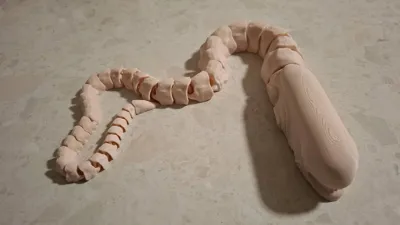https://makerworld.bblmw.com/makerworld/model/603591/526127/ratings/8b7b29e0-d48c-11f0-bb55-f913693accb3.jpg