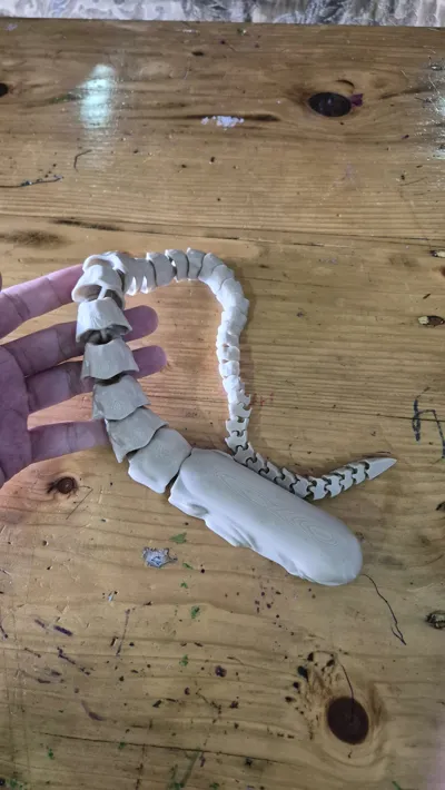 https://makerworld.bblmw.com/makerworld/model/603591/526127/ratings/f6d08f60-d7d3-11f0-9ff6-81be3bec4f65.jpg