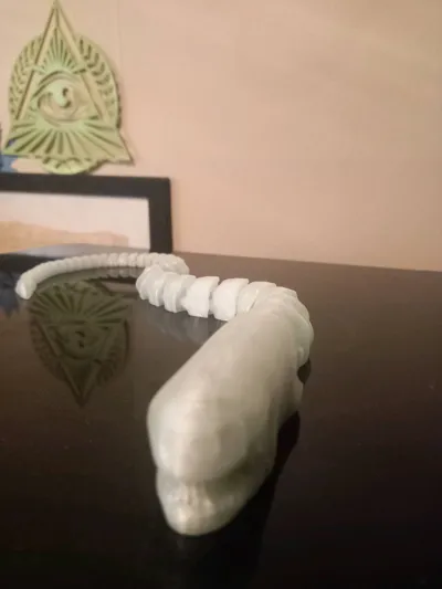 https://makerworld.bblmw.com/makerworld/model/603591/532046/ratings/53d4a6b0-9ee5-11f0-a18b-c1ccf8e5f7c8.jpg