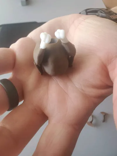 https://makerworld.bblmw.com/makerworld/model/60368/654988/ratings/4662fee0-c2fe-11f0-9370-d7a1690a18cd.jpg
