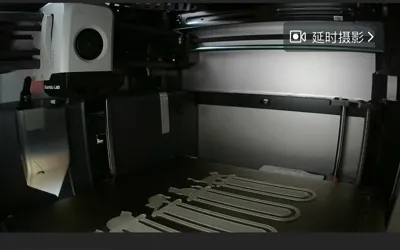https://makerworld.bblmw.com/makerworld/model/603958/529115/ratings/a1d99610-276f-11f0-a01d-45e684c35b87.jpg