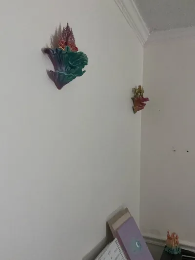 https://makerworld.bblmw.com/makerworld/model/606248/536535/ratings/d991a630-9360-11f0-a9a0-c75fa96ca3de.jpg