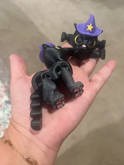 https://makerworld.bblmw.com/makerworld/model/606276/529107/ratings/5f48b0d0-9225-11f0-a1ad-8d4d12d7a6a7.jpg