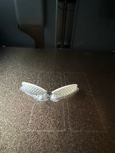 https://makerworld.bblmw.com/makerworld/model/606313/530132/ratings/c9a17b00-79da-11f0-877f-27e482094ca5.jpg