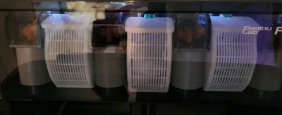 https://makerworld.bblmw.com/makerworld/model/60633/62810/ratings/386cf7d0-5fff-11f0-8f96-ad172f3368d0.jpg